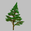 Hoffentlich haben der Wald und das Waldviertel Leben auf lange Zeit . . .